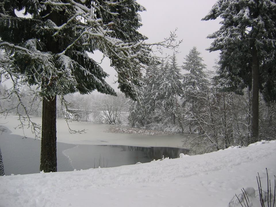 tw book snowstorm pattison lake